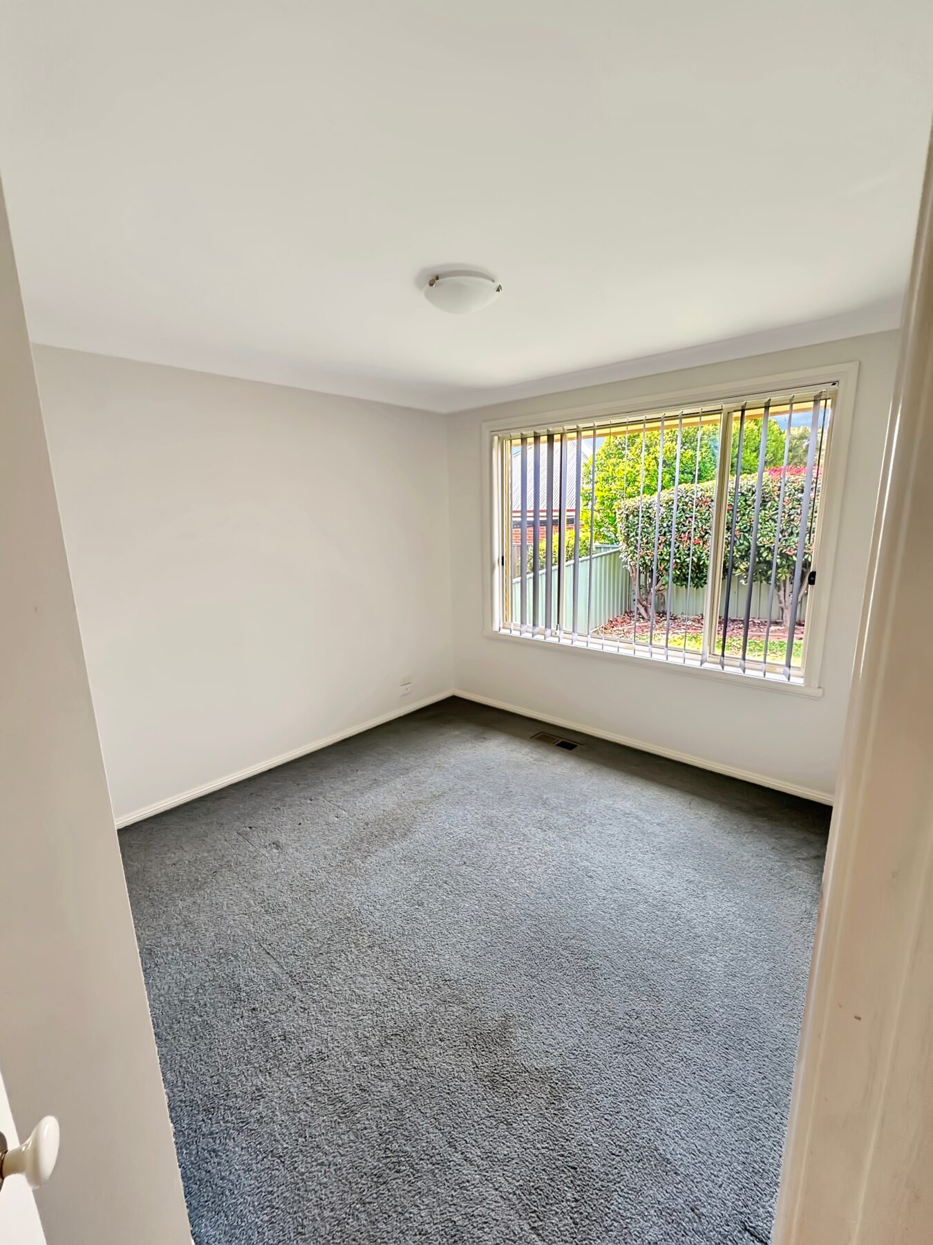 Rental: Orange, NSW, 2800 photo-8