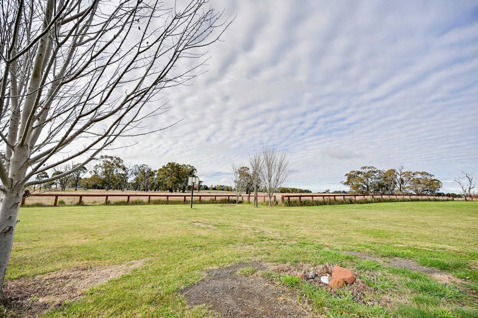 Rental: Springside, NSW, 2800 photo-18