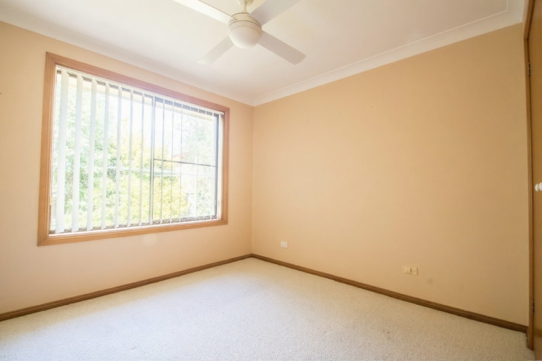 Rental: ORANGE, NSW, 2800 photo-7