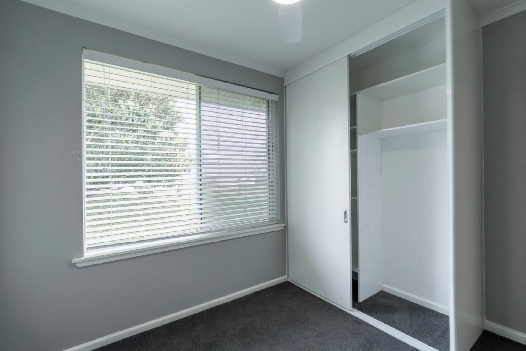 Rental: ORANGE, NSW, 2800 photo-10