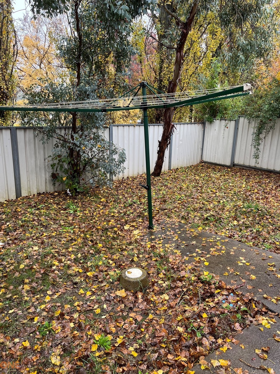 Rental: ORANGE, NSW, 2800 photo-14