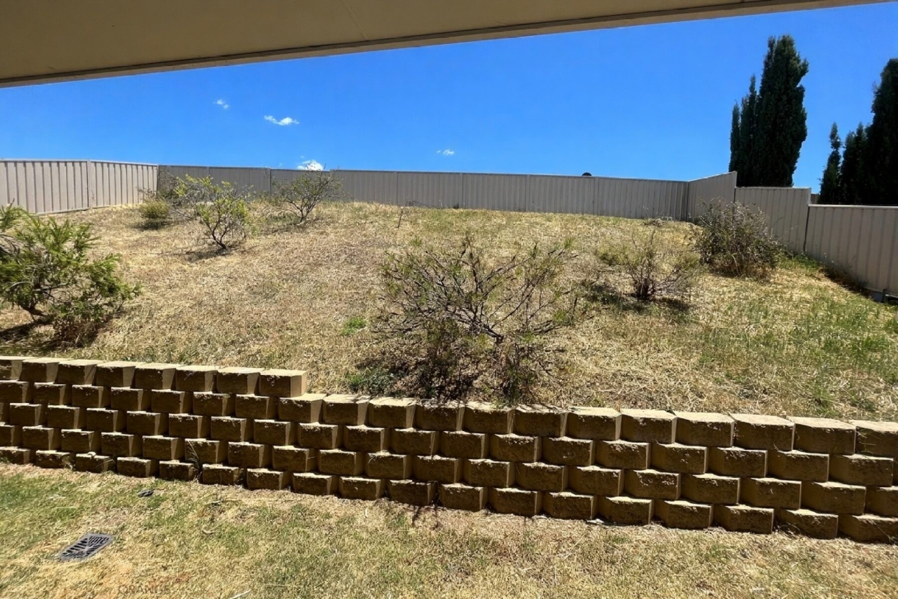 Rental: ORANGE, NSW, 2800 photo-8